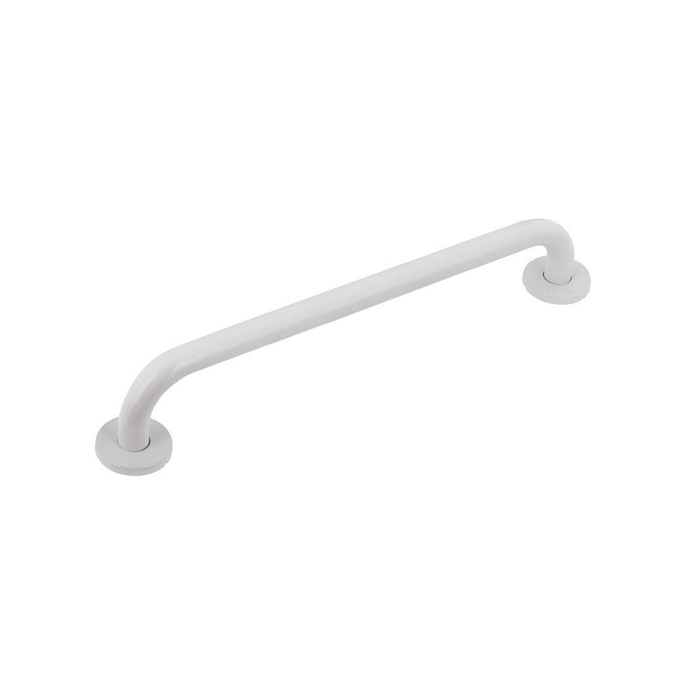 Toilet Grab Bars and Safety Handrails